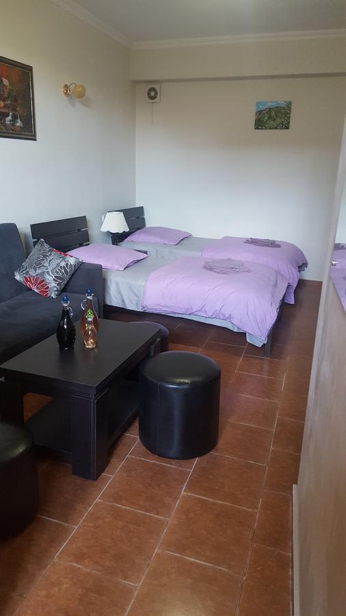 Vazi Apartman Tbiliszi Kültér fotó